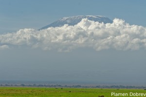 Kilimanjaro