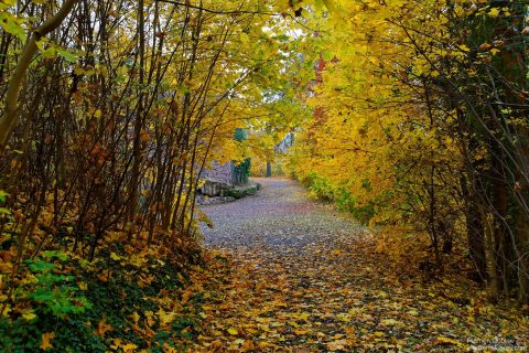image00007