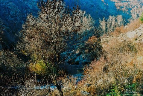 image00028