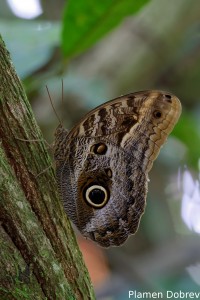 dsc_5183_dxo