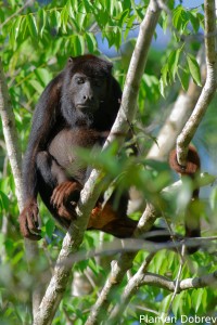 dsc_6964_dxo