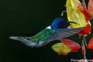 dsc_5512_dxo