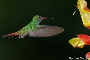 dsc_5542_dxo