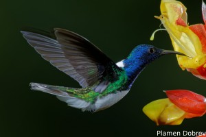 dsc_5562_dxo