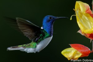 dsc_5567_dxo