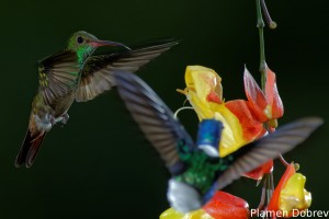 dsc_5573_dxo