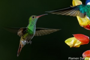 dsc_5579_dxo