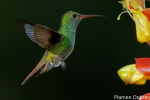 dsc_5580_dxo