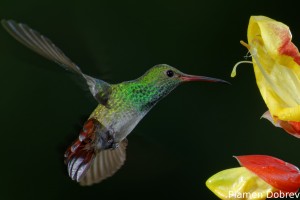 dsc_5589_dxo