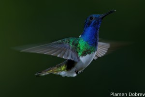 dsc_5614_dxo