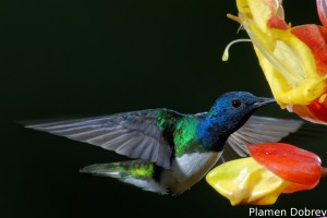 dsc_5663_dxo