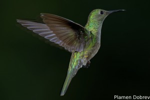 dsc_5669_dxo