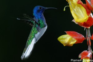 dsc_5687_dxo