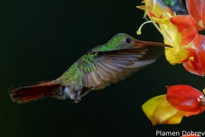 dsc_5692_dxo