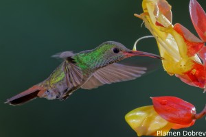 dsc_5864_dxo