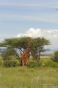 dsc_4764_dxo