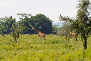 dsc_5361_dxo