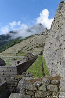 dsc_1993_dxo