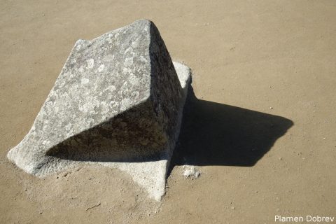dsc_2009_dxo
