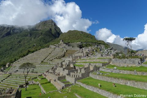 dsc_2051_dxo