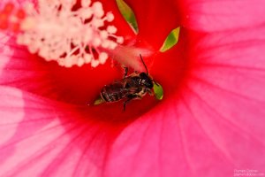 image00007