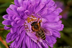 image00013