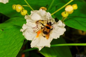 image00026