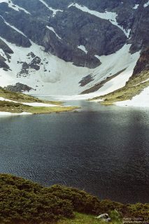 image00001