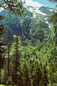 image00002