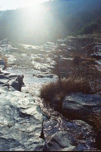 image00003