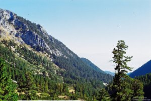 image00005
