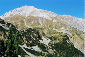 image00008