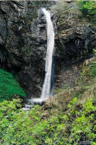 image00012
