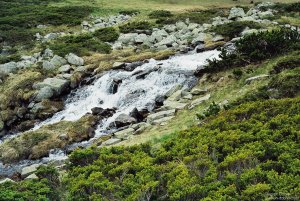 image00015