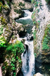 image00020