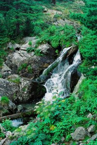image00025