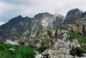 image00028