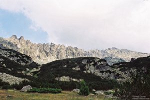 image00029