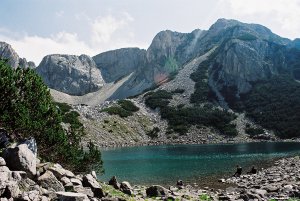 image00030