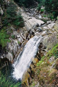 image00036