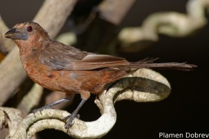 dsc_0769_dxo