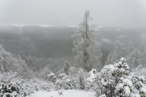 dsc_5695_dxo