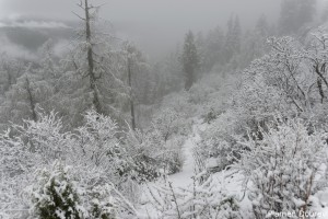 dsc_5703_dxo