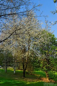 image00002