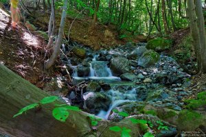 image00008