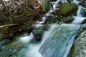image00009