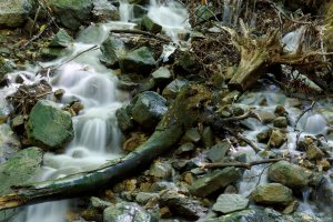 image00010