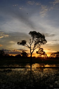 dsc_3457_dxo