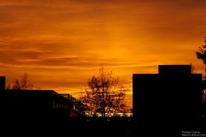 image00001