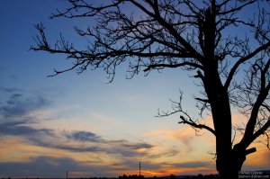 image00010